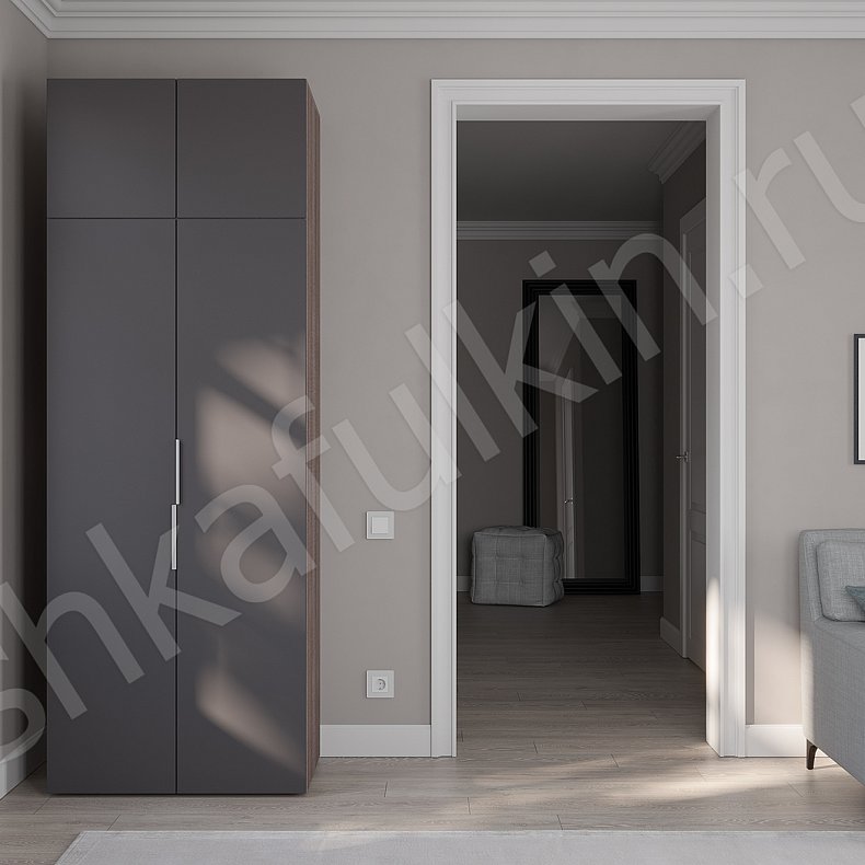 Изображение Шкаф Тони Темные Светлые Серый Коричневый Черный Белый Минимализм 2х створчатые Гостиная Для вещей 1