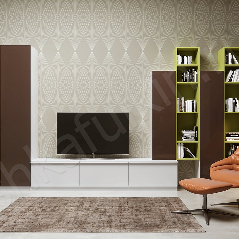 Стенка Бушерон Цветной Модерн 2х створчатые Гостиная Для вещей Под ТВ Для книг