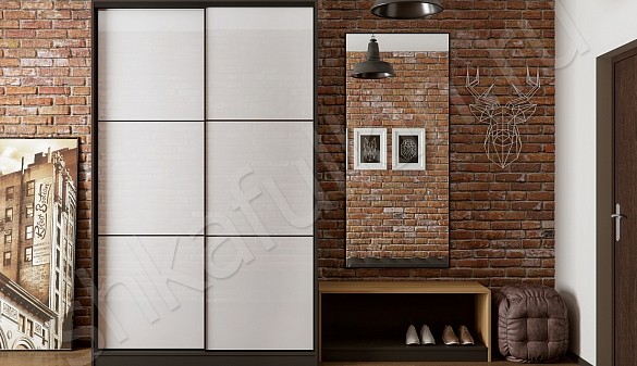 Шкаф-купе для прихожей Джуно