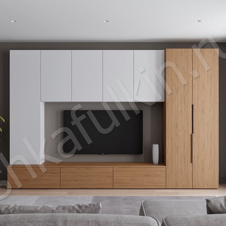 Изображение Стенка Соло Серый Белый Черный Древесный Светлые Темные Скандинавский 2х створчатые Гостиная Для книг Для декора Под ТВ 1