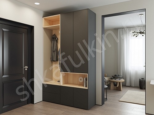 Изображение цвета Прихожая Мэрри  Минимализм 2х створчатые Прихожая 