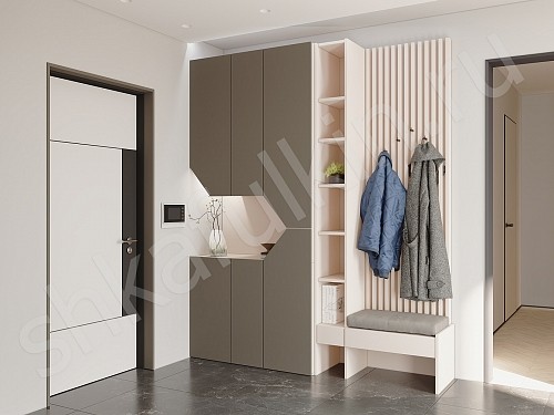 Изображение цвета Прихожая Сальма  Минимализм 2х створчатые Прихожая 