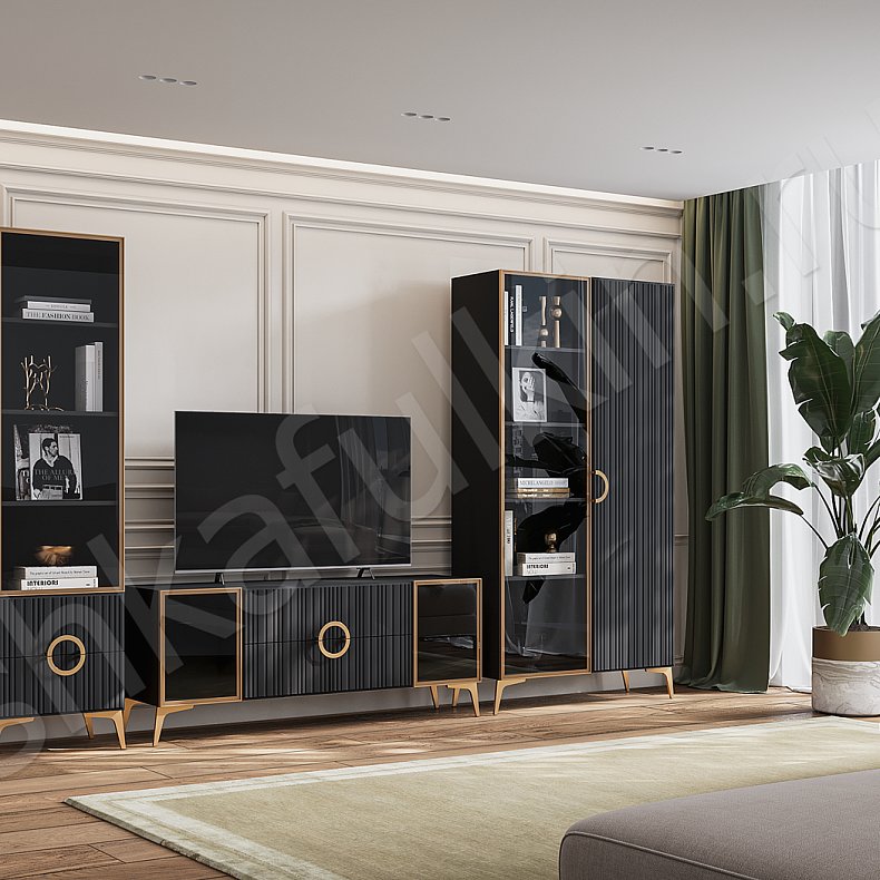 Изображение Стенка Обсидиан Белый Черный Цветной Красный Синий Светлые Темные Неоклассика 2х створчатые Гостиная Для книг Под ТВ 1