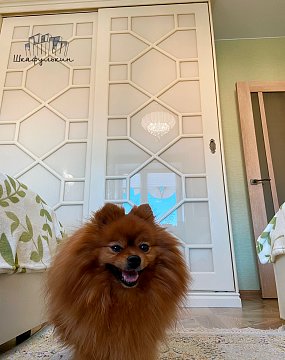 Изображение Заказ №44349     