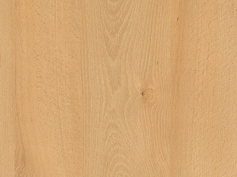 H1910 ST9 Бук луговой