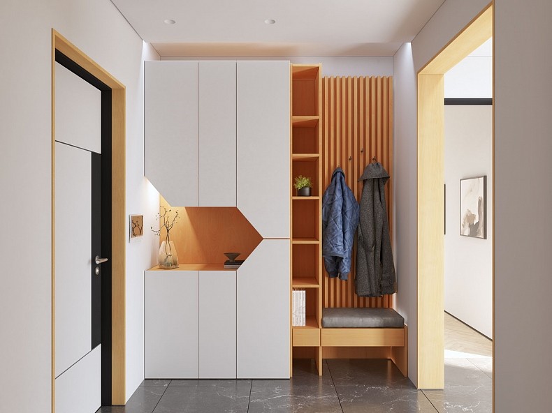 Изображение цвета Прихожая Сальма  Минимализм 2х створчатые Прихожая 