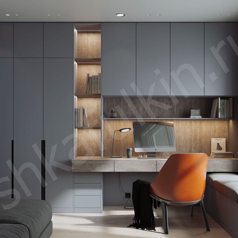 Кабинет Эйнштейн Серый Современный 3х створчатые Спальня Для книг 1