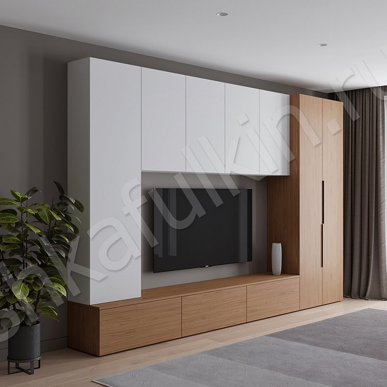 Изображение Стенка Соло Серый Белый Черный Древесный Светлые Темные Скандинавский 2х створчатые Гостиная Для книг Для декора Под ТВ 5