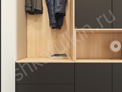 Изображение цвета Прихожая Мэрри  Минимализм 2х створчатые Прихожая 