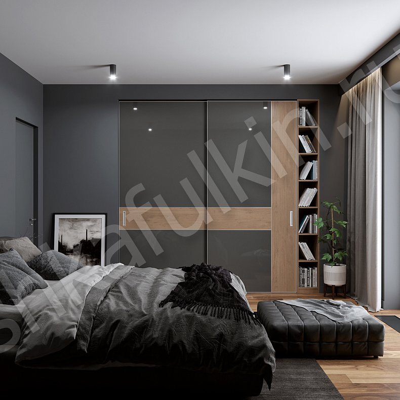 Шкаф-купе Мовимент Темные Древесный Черный Современный 2х створчатые Спальня Для вещей 1