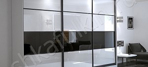 Корпусный шкаф-купе Черный Дафнис