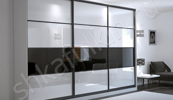 Корпусный шкаф-купе Черный Дафнис