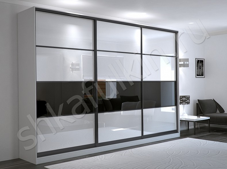 Корпусный шкаф-купе Черный Дафнис