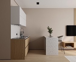 Монти ЖК Ола-Апарт 31 м² Кухня