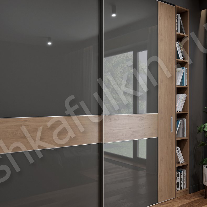 Шкаф-купе Мовимент Темные Древесный Черный Современный 2х створчатые Спальня Для вещей 3